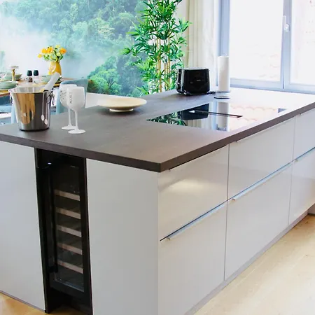 Domschloss, Zentrum, 6 Personen, Business, Dachterrasse, Familien Apartment