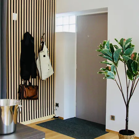 Apartment Domschloss, Zentrum, 6 Personen, Business, Dachterrasse, Familien *